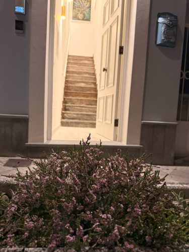 ingresso-principale-con-fiori-casadamorelipari